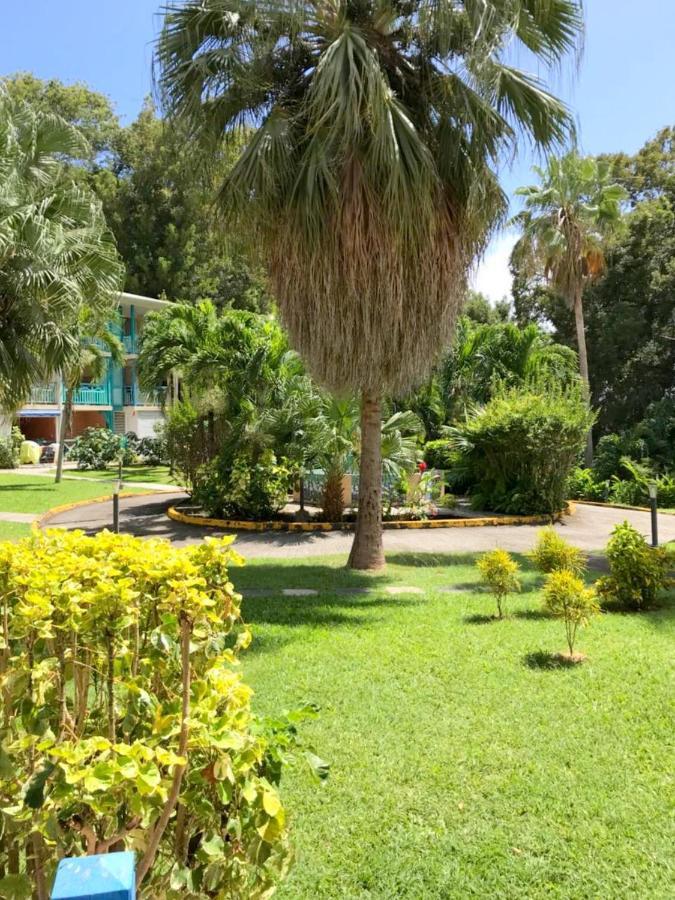 Color Garden - Studio Martinique Sainte-Anne Extérieur photo
