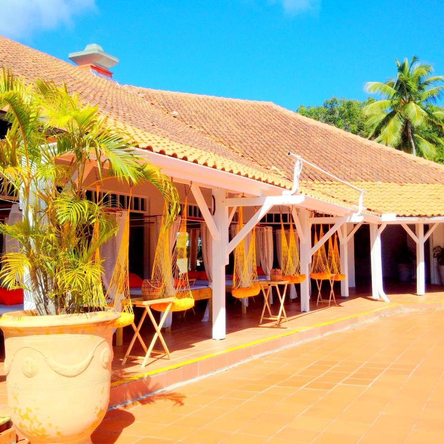 Color Garden - Studio Martinique Sainte-Anne Extérieur photo