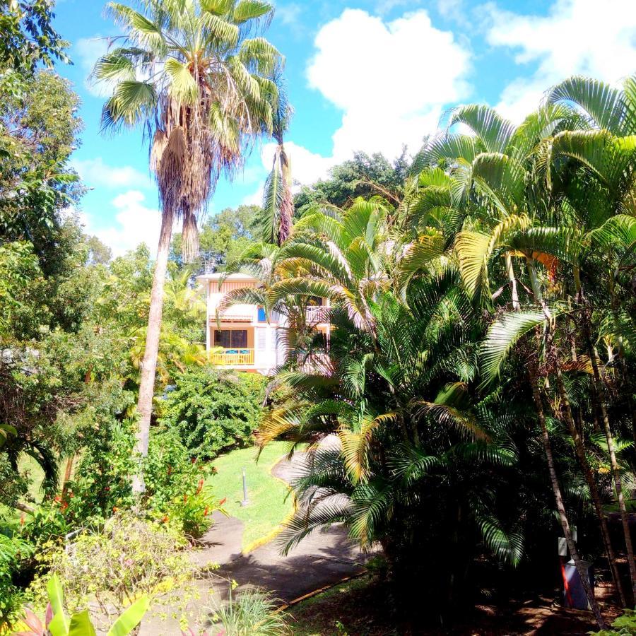 Color Garden - Studio Martinique Sainte-Anne Extérieur photo