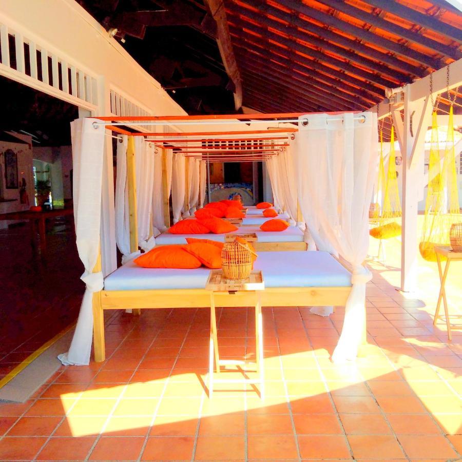 Color Garden - Studio Martinique Sainte-Anne Extérieur photo
